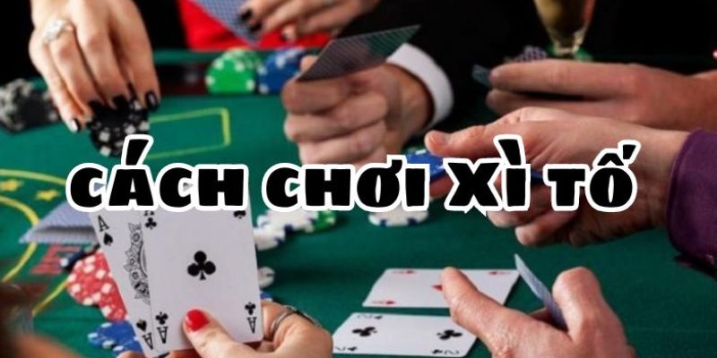 Kinh nghiệm áp dụng các mẹo chơi xì tố cho tân binh