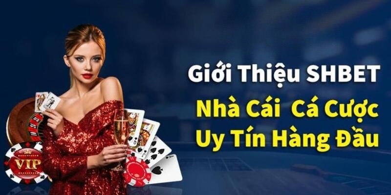 Đôi nét về sân chơi SHBET